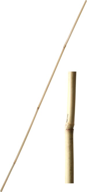 Tyč bambusová, 150 cm / pr. 12-14 mm