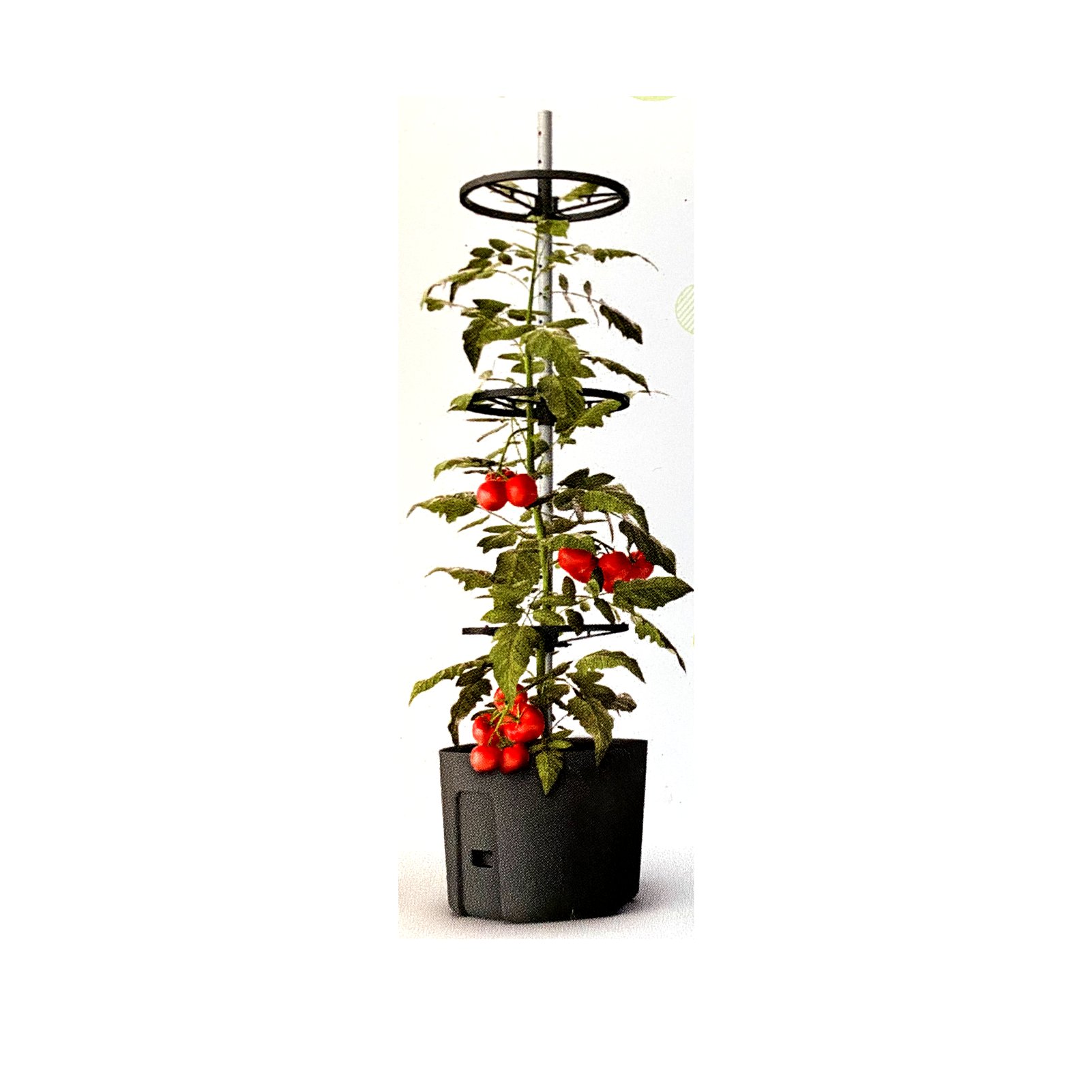 Květináč na rajčata Tomato Pot 29, antracit