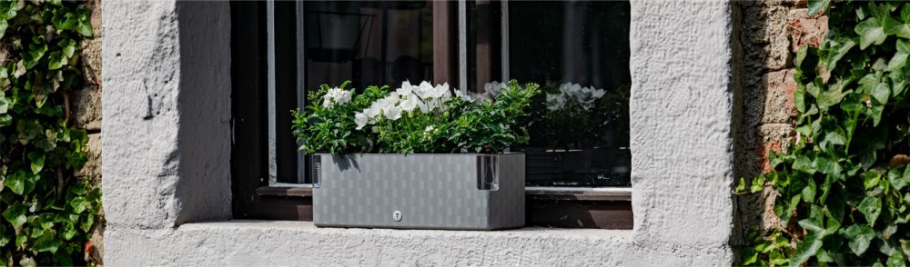 Plastové samozavlažovací truhlíky na okenní parapet
