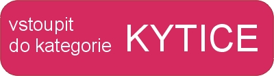 vstup do kategorie přírodní kytice